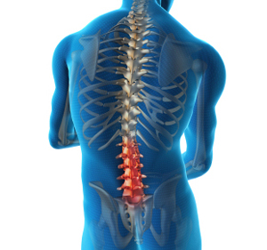 Lumbar Spine Anatomy  Lumbar Spine Treatment New York, Staten