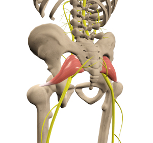 Piriformis Syndrome Relief  Dublin Physical & Chiropractic