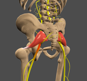 What Is The Treatment For Sciatica Nerve Pain